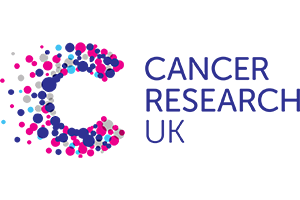 Abstract geometric logo with interconnected hexagons in blue and pink, next to stylized text.